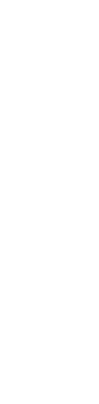 Checkmark icon